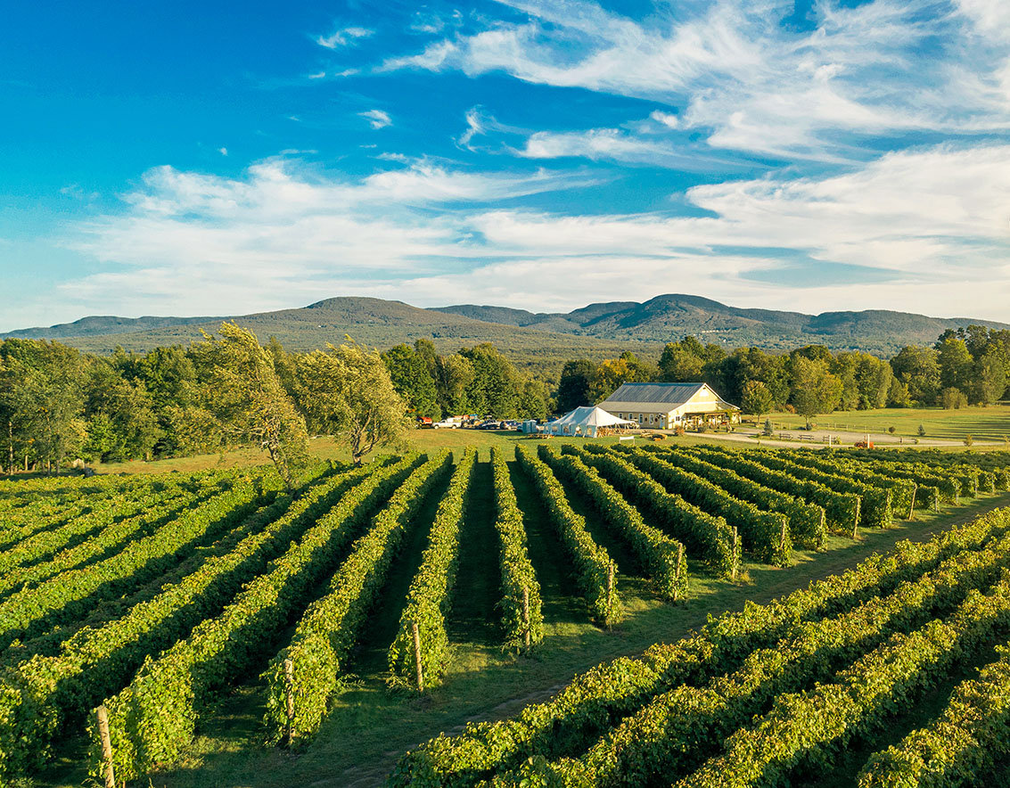 La Route des vins <br> Brome-Missisquoi