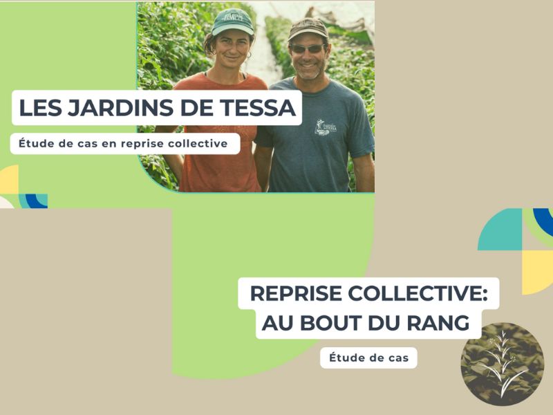 Coopérative de développement régional du Québec (CDRQ)